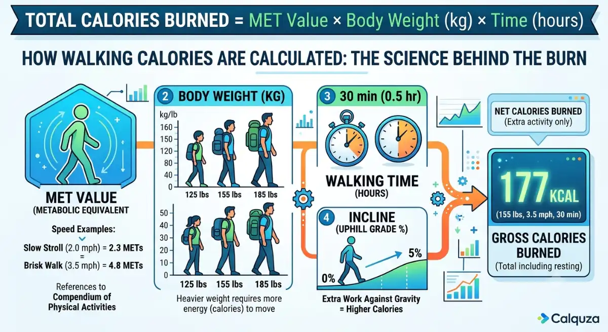 How Walking Calories Are Calculated Using MET Values How walking calories are calculated using MET values